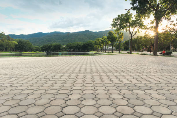 Best Residential Paver Driveway  in Five Points, FL